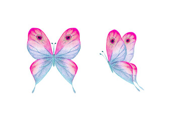 Watercolor botanical summer set of multicolor colorful butterflies
