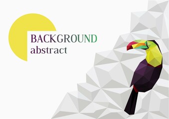 Background design with white polygons and a toucan. White abstract texture. Presentation template. Vector illustration.