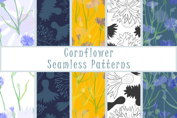 Set of the seamless patterns with Cornflowers