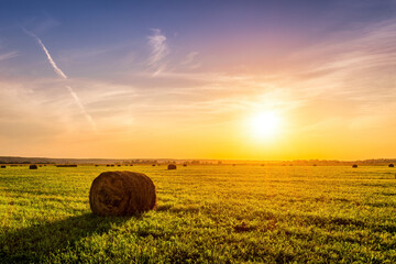 A field with haystacks on a summer or early autumn evening with a cloudy sky in the background....