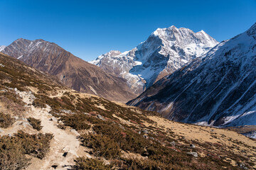Trekking trail to Larkya pass in Manaslu circuit trekking route, Himalaya mountain range in Nepal