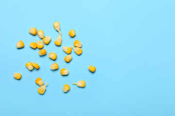 Fresh corn seeds on color background