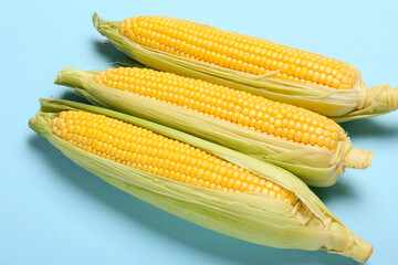 Fresh corn cobs on color background