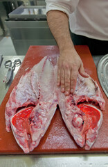 Limpieza y abertura de besugo fresco