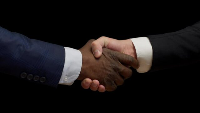 Two multiracial businessmen shaking hands, business agreement, cooperation