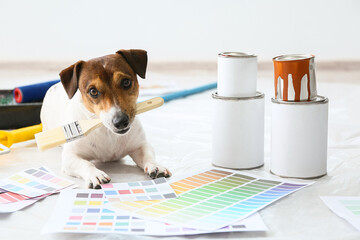 Cute dog with brush and paint color samples in room - obrazy, fototapety, plakaty