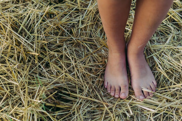 the girl's feet are barefoot on the hay in the field. High quality photo