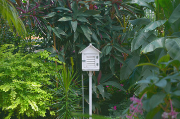 A mail box in a forest
