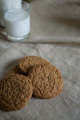 Homemade crunchy cookies and farm milk in a glass on canvas.