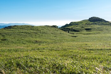 Fototapeta premium 夏の四国カルスト・天狗高原
