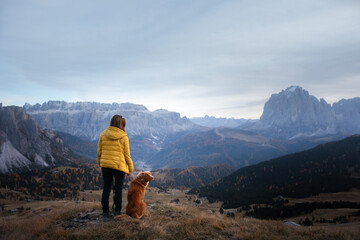 girl with a dog at the top, peak. travel, Nova Scotia Duck Tolling Retriever with with a woman in a...