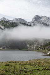 vertical montaña para diseño con niebla picos de europa