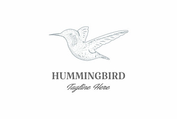 Vintage Retro Hand Drawn Hummingbird or Colibri Bird Logo Design Vector