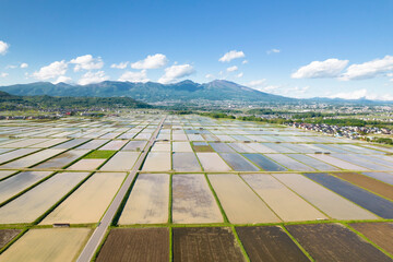 田植え前の水を張った水田