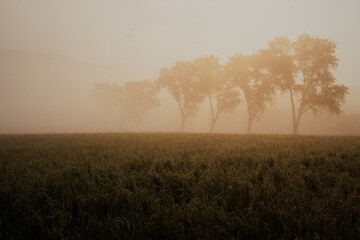 Herbst im Westerwald