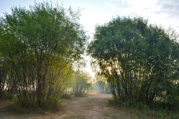 bank of the Moksha river on the border of Bashkiria