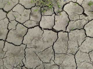 texture and background of dry and cracked mud.