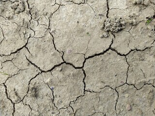 texture and background of dry and cracked mud.