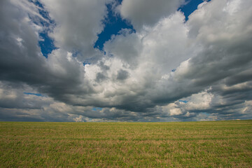 Wheat field and clouds.