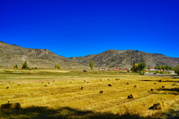 Fototapeta premium In front of the mountain, grass is rolled into squares and arranged. Red roof.