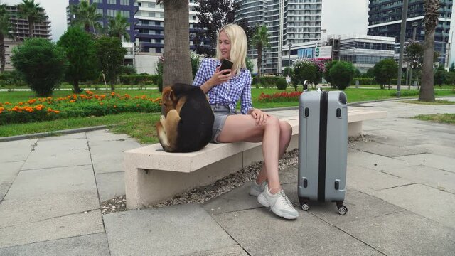 a young lady in sneakers and a shirt is sitting on a stone bench, a stray stray dog is sitting next to her. a girl with a gray suitcase. She takes a selfie and takes pictures of the dog as a souvenir.