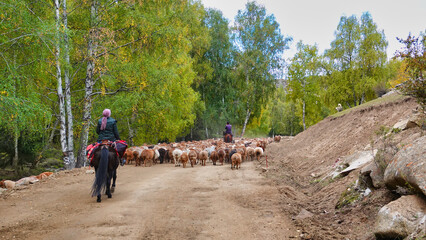 The shepherd rode his horse and drove his flock along the forest road.