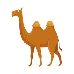 Camel with two hump, bactrian. Desert animal standing, side view. Cartoon vector. Flat icon design, isolated on white background
