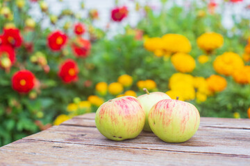 Three fresh apples lie on a wooden surface against the background of blooming flowers. Healthy food concept