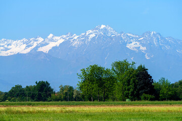 Country landscape near Fossano, Cuneo province, at May