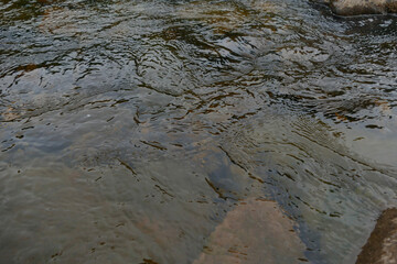 water in the river