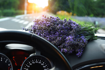 A bouquet of lavender on the torpedo of a car and a view of the road from behind the wheel of the...