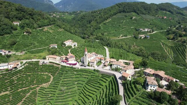 Italian Vineyards in the Summer, in the village of Prosecco, Stunning Aerial View