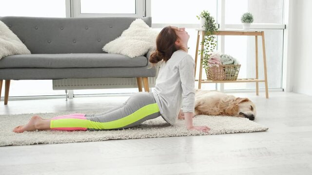 Beautiful girl doing yoga Urdhva mukha svanasana in the morning with golden retriever dog. Home stretching Upward Facing Dog Pose exercises in sunny day