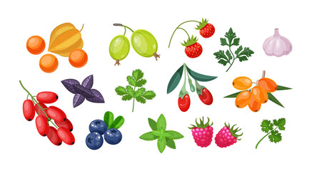 Set of fresh seasonal fruit, berries and edible greenery. Garden harvest full of vitamin ingredients