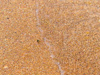 Marine horizontal background: fine golden shell rock and wave