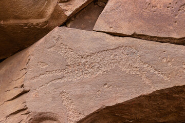 Ancient petroglyphs on rock in Sunduki mountain range at republic of Khakassia, Russia. Symbolic engravings of Deer or Horse on Devonian sandstone stone. Primitive art drawing on stone