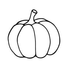 pumpkin hand drawn doodle sketch isolated on white background
