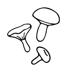 mushrooms hand drawn doodle sketch isolated on white background