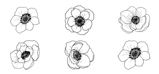 Vector beautiful monochrome anemone flowers, elements isolated on white background. Vector file.