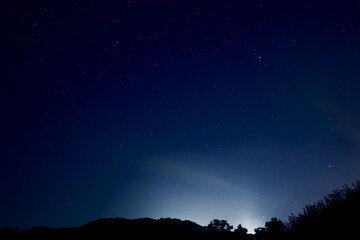 Fototapeta na wymiar Wonderful night sky with stars and trees forest