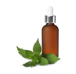 Glass bottle of nettle oil with dropper and leaves isolated on white