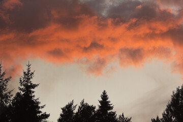 Orange clouds appeared in the sky in the evening