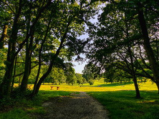 Fototapeta premium path in the park
