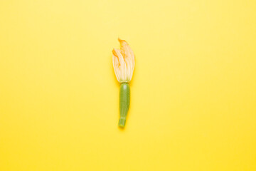 Zucchini and zucchini flowers on a bright yellow background.
