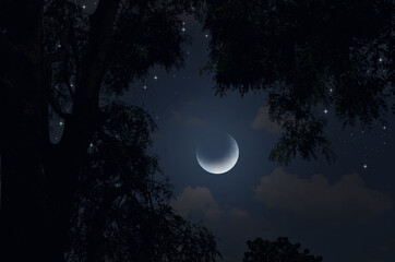 Bright stars in crescent night of the winter season