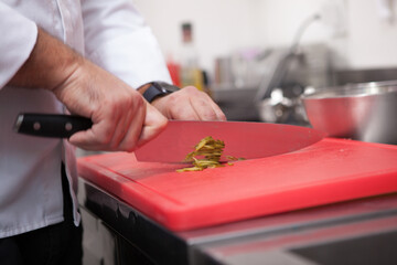 Fototapeta na wymiar Unrecognizable chef slicing pickles at the kitchen