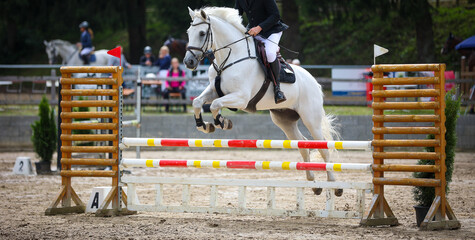 Horse jumping horse jumping over an obstacle in the course, with spectators out of focus in the...