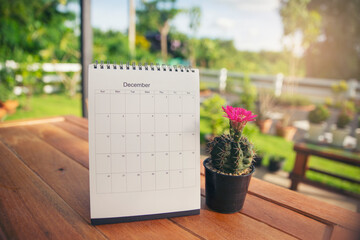 Desktop calendar and cactus placed on student wooden desk in garden, calender for planner to plan daily appointments each day, month and year on wooden table. Calendar background concept.