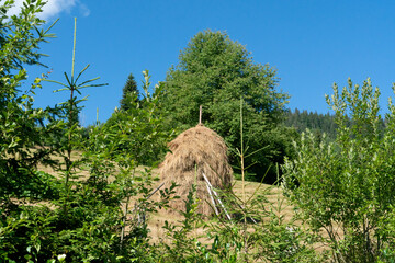 Haystacks in the Apuseni Mountains from Romania