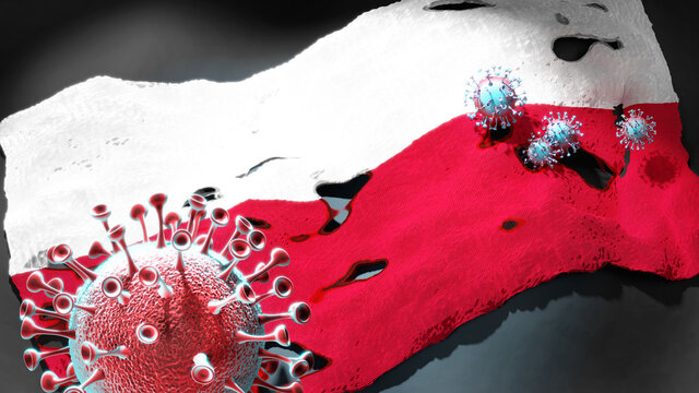Covid in Poland - coronavirus attacking a national flag of Poland as a symbol of a fight and struggle with the virus pandemic in this country, 3d illustration